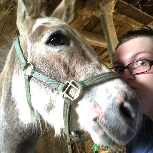 Meet your Posher, Sam - Picture 1 of 1